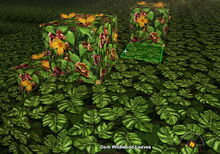 Creativerse dark wildwood leaves flowers 2019-06-02 20-20-50-85.jpg