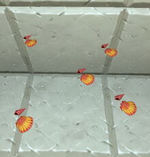 Creativerse seashells on placemat 2019-04-23 17-21-10-1649.jpg