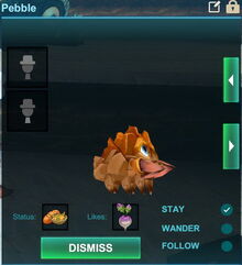 Creativerse pebble 2017-07-20 20-12-29-73.jpg