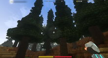 Creativerse Taiga and turnip3838.jpg