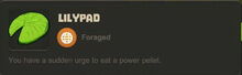 Creativerse Lilypad3003.jpg