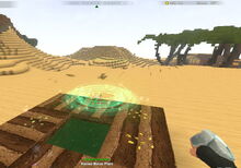 Creativerse crops fertilized in Dunes39