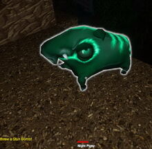 Creativerse Night Pigsy 2018-05-30 17-26-09-01.jpg