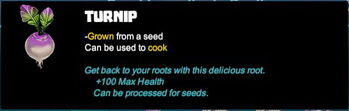 Creativerse Crops 2017-08-11 20-55-21-14.jpg