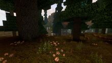 Creativerse taiga without snow 2018-09-18 20-20-56-60.jpg