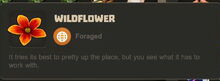 Creativerse Flower Wildflower.jpg