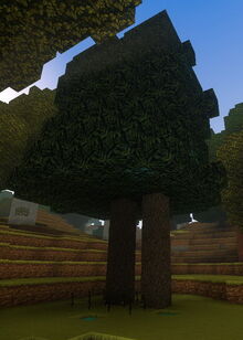 Creativerse 2 trees grown from 4x4 saplings 2017-07-31 14-22-26-56.jpg
