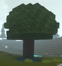 Creativerse Cragwood self grown02.jpg