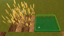 Creativerse Bog Water for Wheat01.jpg