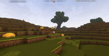 Creativerse Grassland001.jpg