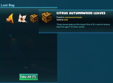 Creativerse autumn leaves flower 2019-06-05 03-21-58-66 autumn leafi loot.jpg