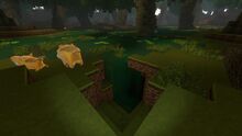 Creativerse bog water runs down into cave 2018-10-21 12-40-10-48