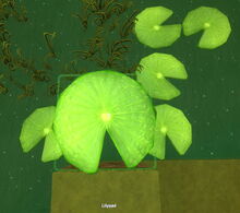 Creativerse lilypad rotated 2018-07-03 22-14-55-86