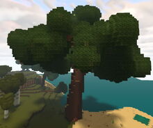 Creativerse cragwood 2019-05-26 22-52-20-34.jpg