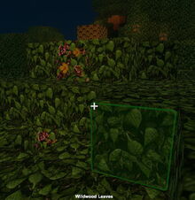 Creativerse Wildwood glows0011.jpg