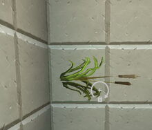 Creativerse cattails rotated 2018-07-06 02-40-05-38.jpg