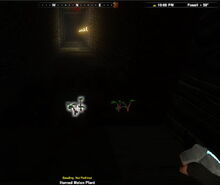 Creativerse Crops growing in darkness07.jpg