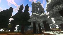 Creativerse elderwood snowy and common 2018-10-16 10-54-05-66