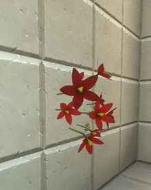 Creativerse tundra flowers rotated 2018-06-19 19-23-02-11.jpg