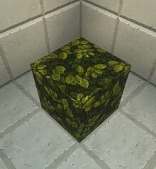 Creativerse leaves 2019-02-07 01-59-10-28.jpg