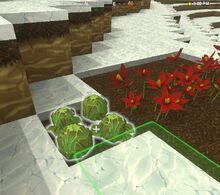 Creativerse Lettuce Tundra3030.jpg