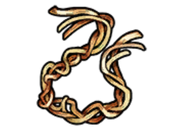 Sinew without background