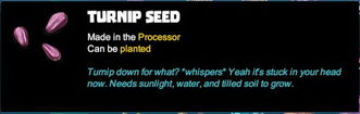 Creativerse Seeds 2017-08-11 20-55-09-97.jpg