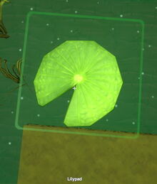 Creativerse lilypad 2018-07-03 22-14-25-01.jpg