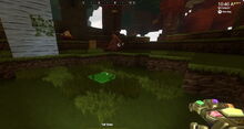 Creativerse tallgrass forest autumn leafies closer 2018-07-02 16-52-06-74