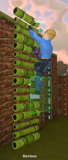 Creativerse bamboo 2019-02-03 04-50-51-81 climbing images.jpg