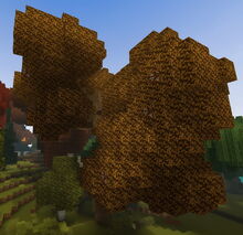 Creativerse autumnwood tree citrus 2019-05-27 12-09-04-55.jpg