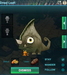 Creativerse dried leafi 2017-07-20 15-48-16-10.jpg