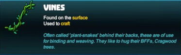 Creativerse vines 2017-09-13 02-23-49-44.jpg
