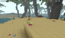 Creativerse Shore1180.jpg