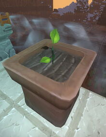 Creativerse sapling flower pot 2017-07-29 11-50-07-57 saplings