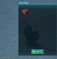 Creativerse gift box red Reinbeau loot 2019-01-26 00-44-04-41