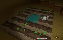 Creativerse melon growing 2017-08-11 21-49-25-21.jpg