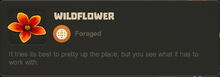 Creativerse Wildflower Savannah2020.jpg