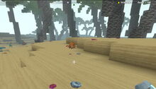 Creativerse Shore3770.jpg