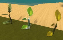 Creativerse tree saplings1.jpg