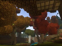 Creativerse Autumnwood Grove.jpg