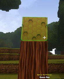 Creativerse Queen Bee placed does not need fertilizer14.jpg