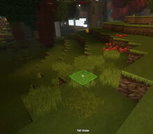 Creativerse tallgrass and mushrooms 2018-07-02 16-48-02-92