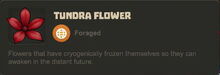 Creativerse Tundra Flower23003
