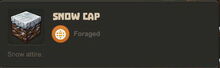 Creativerse Snow Cap8248.jpg