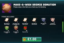 Creativerse make-a-wish bronze donation 2018-12-21 23-41-41-85.jpg