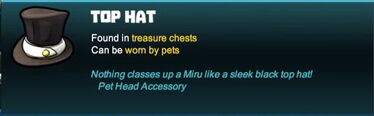 Creativerse pet hat 2018-01-12 19-06-45-38.jpg