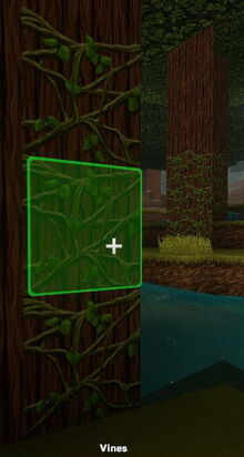 Creativerse Vine and Twine4511.jpg