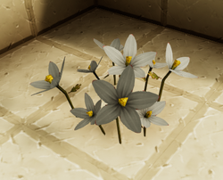 Canvas flowers.png