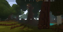 Creativerse Forest3773.jpg